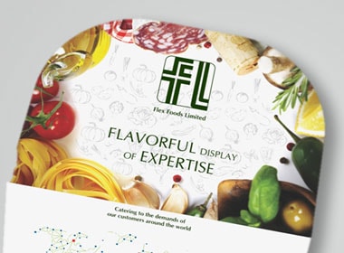 flex flavour brochure design by story design 